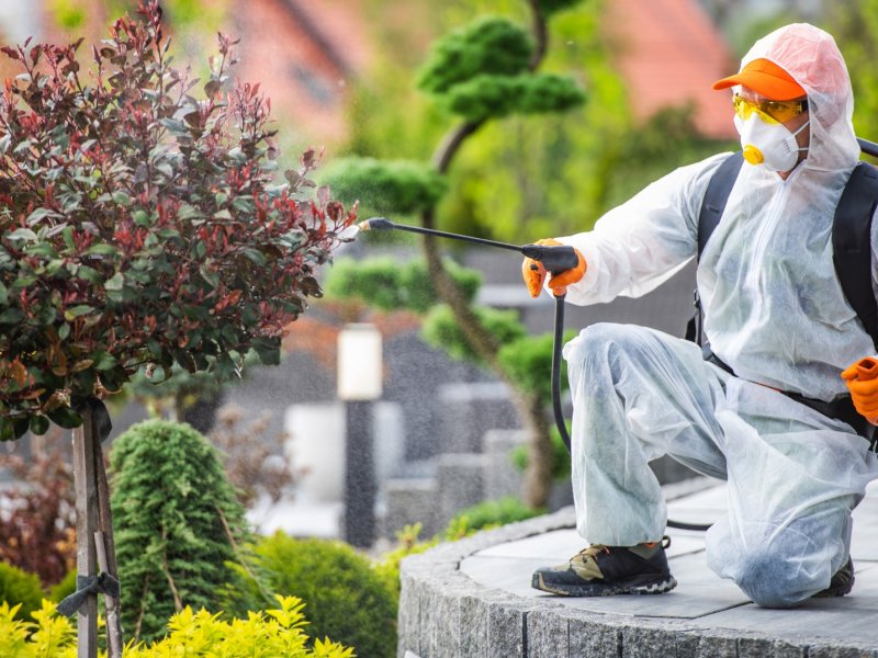 Tavas Haşere İlaçlama